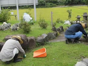 除草作業